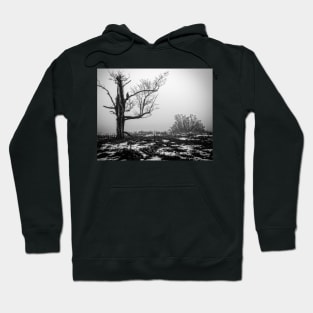 Lone Tree In Fog BnW Hoodie